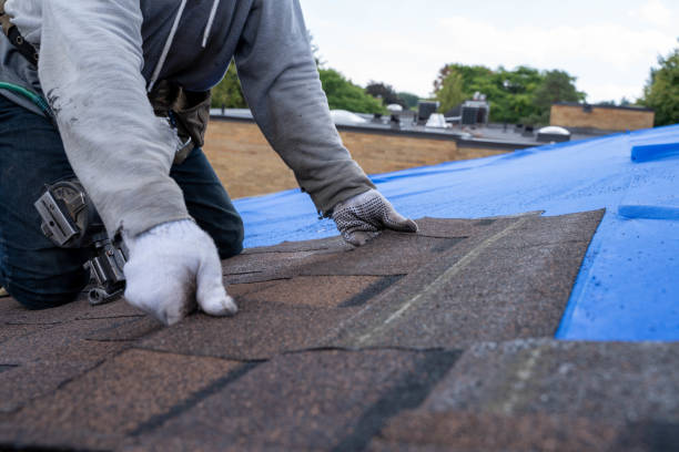 Best Emergency Roof Repair  in Sughter, LA